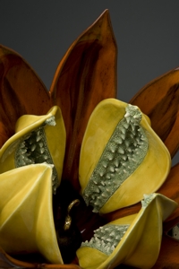 Ripe Five Detail